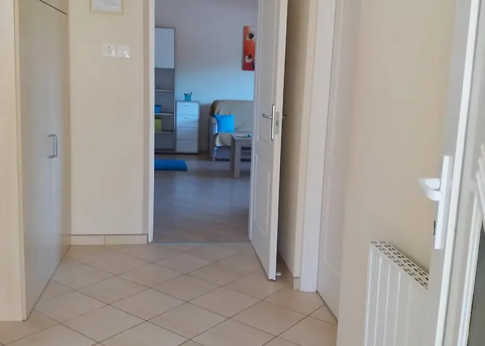 Lola Vendeghaz * Siofok